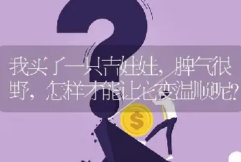 我买了一只吉娃娃，脾气很野，怎样才能让它变温顺呢？