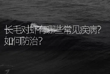 长毛对虾有哪些常见疾病？如何防治？