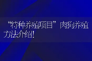 “特种养殖项目”肉狗养殖方法介绍！