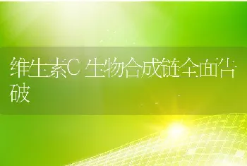 维生素C生物合成链全面告破