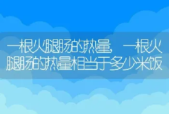 一根火腿肠的热量，一根火腿肠的热量相当于多少米饭