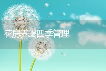 花房养蝎四季管理