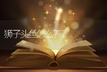 狮子头鱼怎么养？