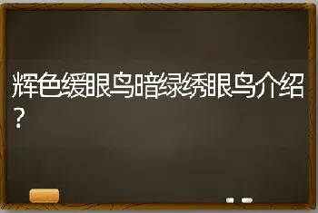 辉色缓眼鸟暗绿绣眼鸟介绍？