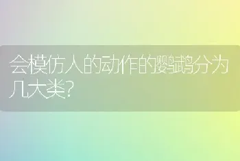 会模仿人的动作的鹦鹉分为几大类？