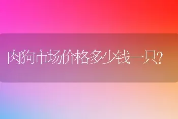 肉狗市场价格多少钱一只?