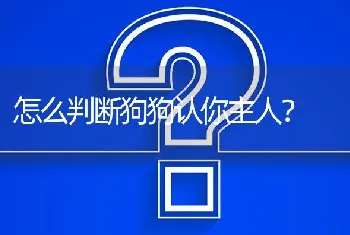 怎么判断狗狗认你主人？