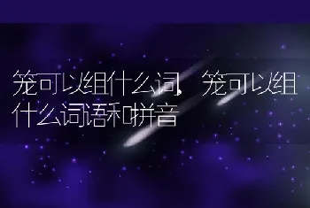 笼可以组什么词，笼可以组什么词语和拼音