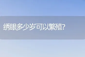 绣眼多少岁可以繁殖？