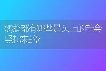 鹦鹉都有哪些是头上的毛会竖起来的？