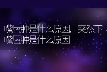 嘴唇肿是什么原因，突然下嘴唇肿是什么原因