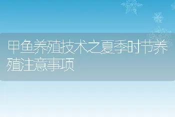 甲鱼养殖技术之夏季时节养殖注意事项