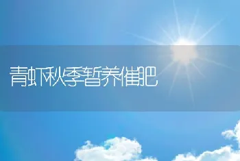 青虾秋季暂养催肥