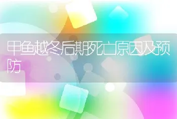 甲鱼越冬后期死亡原因及预防