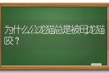 为什么公龙猫总是被母龙猫咬？