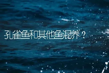 孔雀鱼和其他鱼混养？