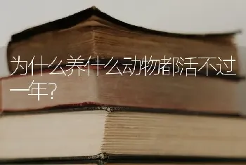 为什么养什么动物都活不过一年？