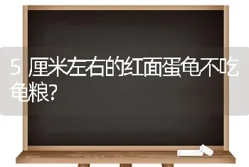 鳄龟吃田螺吗？