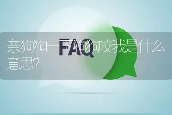 亲狗狗一下狗狗咬我是什么意思？