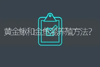 黄金鳅和金鱼混养殖方法？