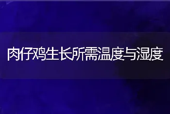 肉仔鸡生长所需温度与湿度