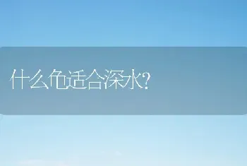 什么龟适合深水？