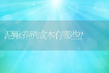 泥鳅养殖成本有哪些？