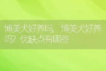 博美犬好养吗，博美犬好养吗？优缺点有哪些