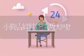 小狗吉娃娃能饿两天吗？