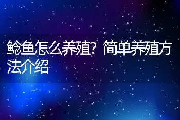 鲶鱼怎么养殖？简单养殖方法介绍