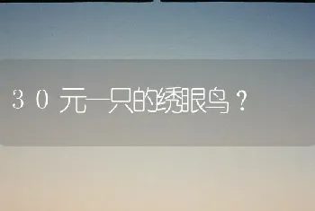 30元一只的绣眼鸟？