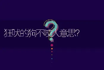 狂吠的狗不咬人意思？