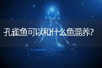 孔雀鱼可以和什么鱼混养？