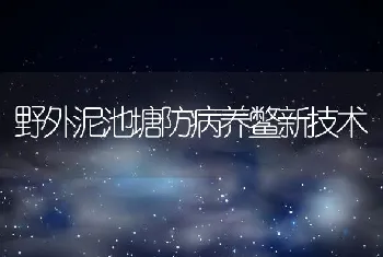 野外泥池塘防病养鳖新技术