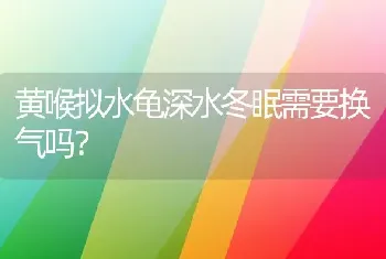 黄喉拟水龟深水冬眠需要换气吗？