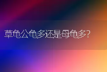 草龟公龟多还是母龟多？