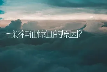 七彩神仙惊缸的原因？