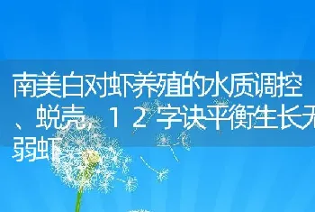 南美白对虾养殖的水质调控、蜕壳，12字诀平衡生长无弱虾