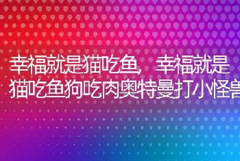 幸福就是猫吃鱼，幸福就是猫吃鱼狗吃肉奥特曼打小怪兽