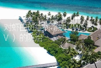 对虾白斑症病毒病（WSSV）的防治