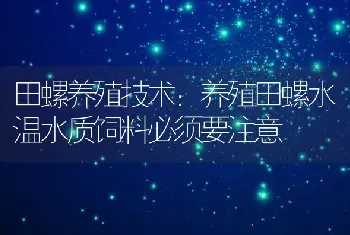 田螺养殖技术：养殖田螺水温水质饲料必须要注意