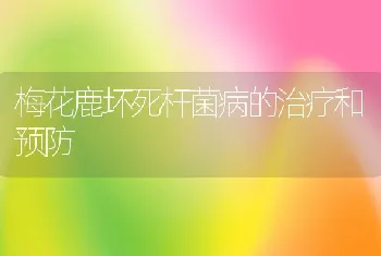 梅花鹿坏死杆菌病的治疗和预防