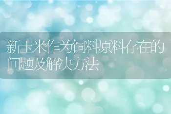 新玉米作为饲料原料存在的问题及解决方法