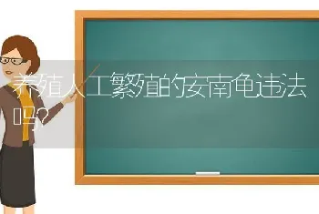 养殖人工繁殖的安南龟违法吗？