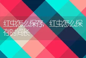 红虫怎么保存，红虫怎么保存时间长