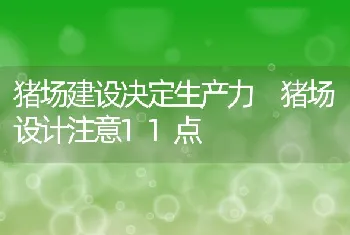 猪场建设决定生产力猪场设计注意11点