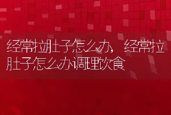 经常拉肚子怎么办，经常拉肚子怎么办调理饮食