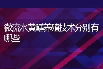 微流水黄鳝养殖技术分别有哪些