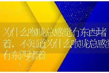 为什么喉咙总感觉有东西堵着，不知道为什么喉咙总感觉有东西堵着