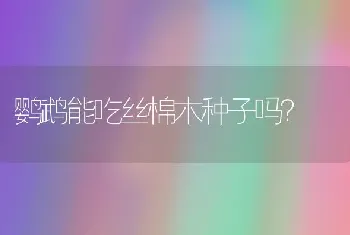 鹦鹉能吃丝棉木种子吗？